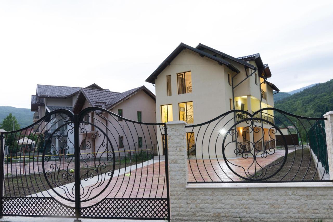 Vila Poienita Caciulata Calimanesti Luaran gambar