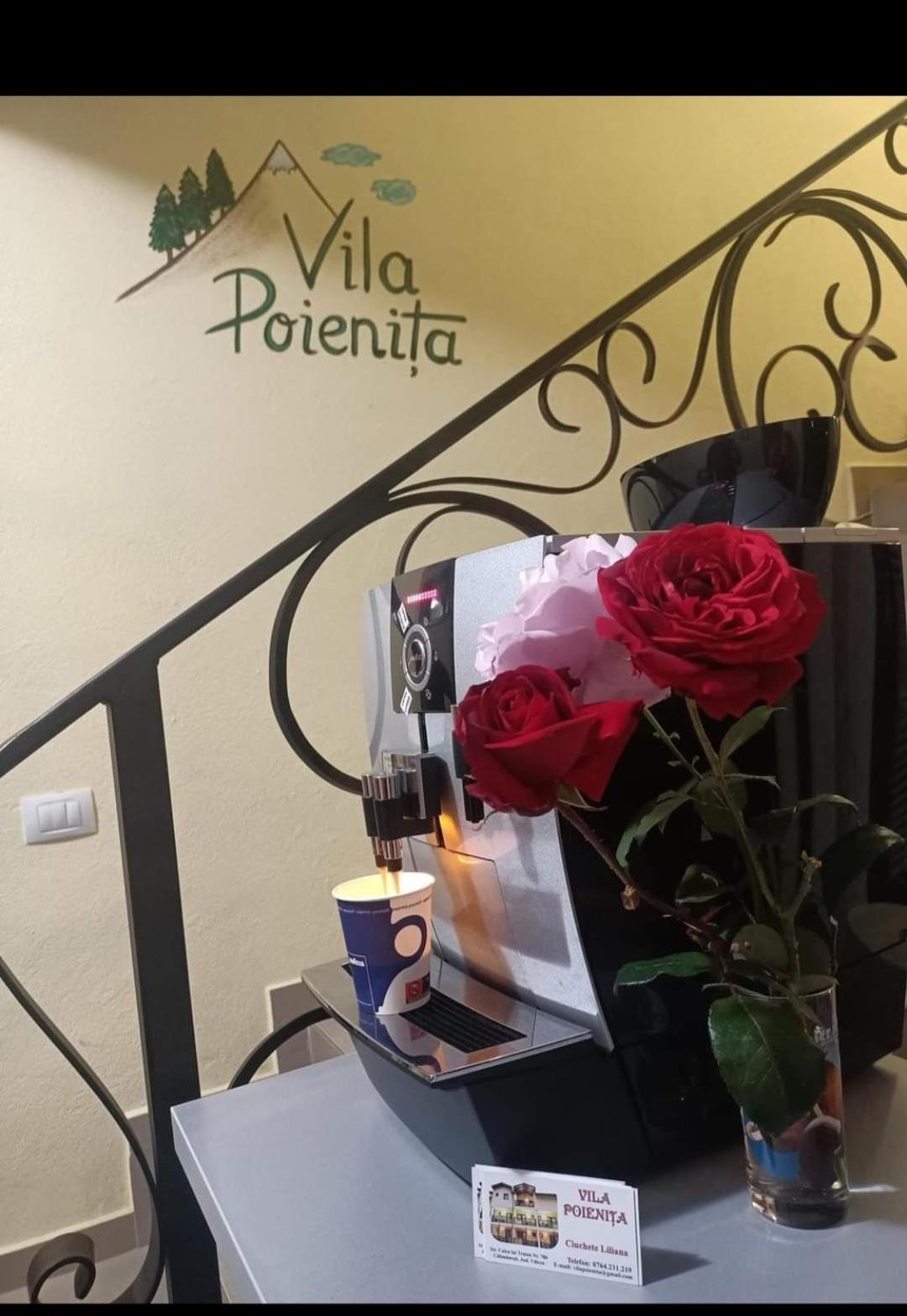 Vila Poienita Caciulata Calimanesti Luaran gambar