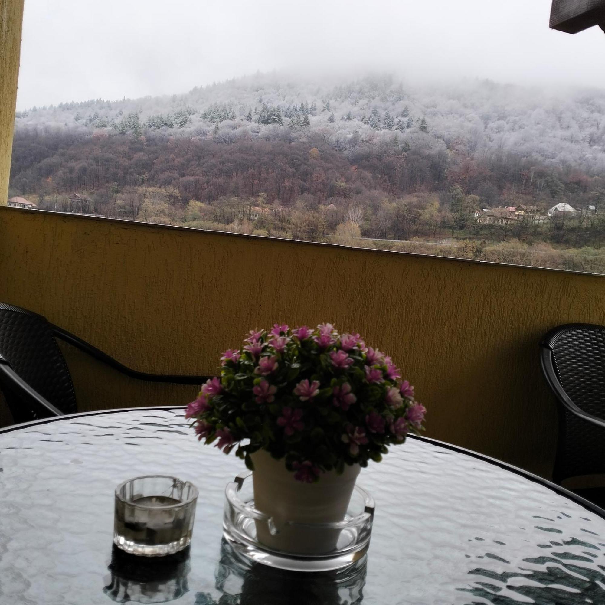 Vila Poienita Caciulata Calimanesti Luaran gambar